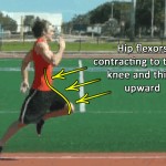 Improve Running Speed, Stride and Turnover Rate with Hip Flexor Development.