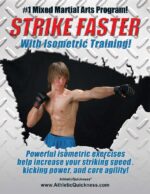 MMA Training Program