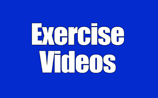 Section 3 - Exercise Videos