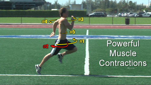 rotation for athletic running speed