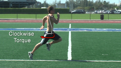 hip flexors athletic torque