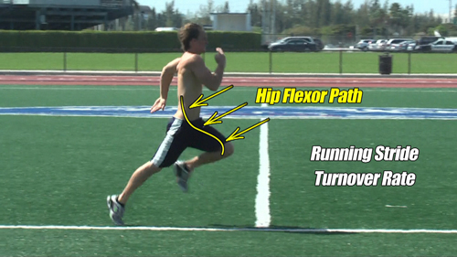hip flexors running stride and turnover rate