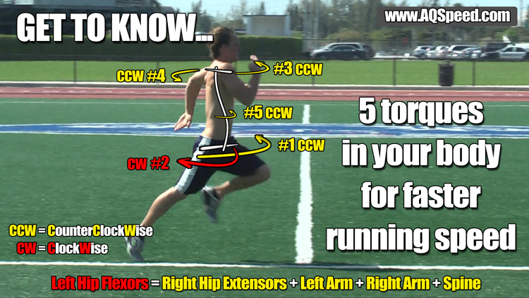 5 athletic running speed torques in body